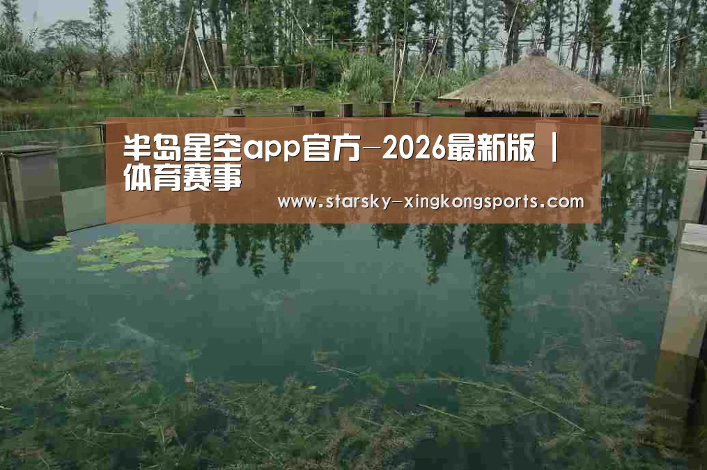 案例展示二(图1)