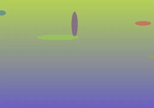 星空体育app
