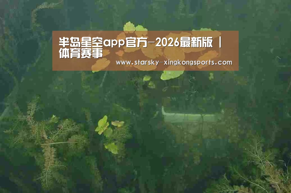 案例展示三