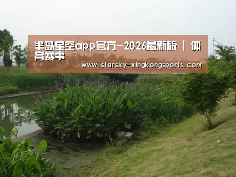 案例展示四