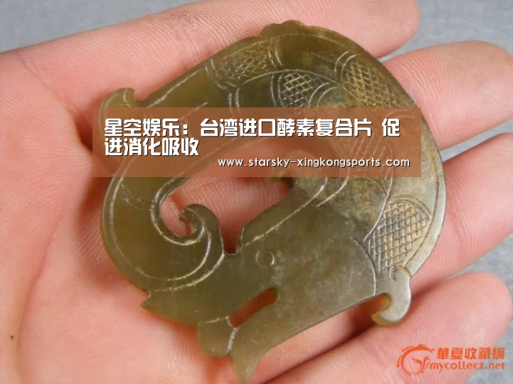 星空娱乐：台湾进口酵素复合片 促进消化吸收