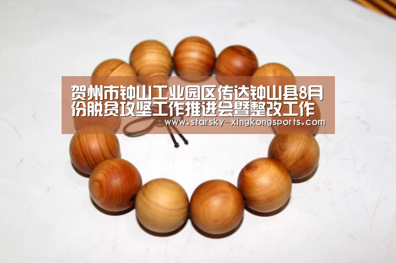 星空体育 半岛